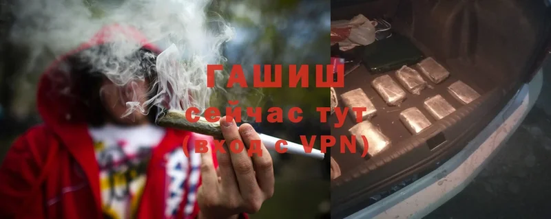 omg   Иннополис  Гашиш Cannabis 